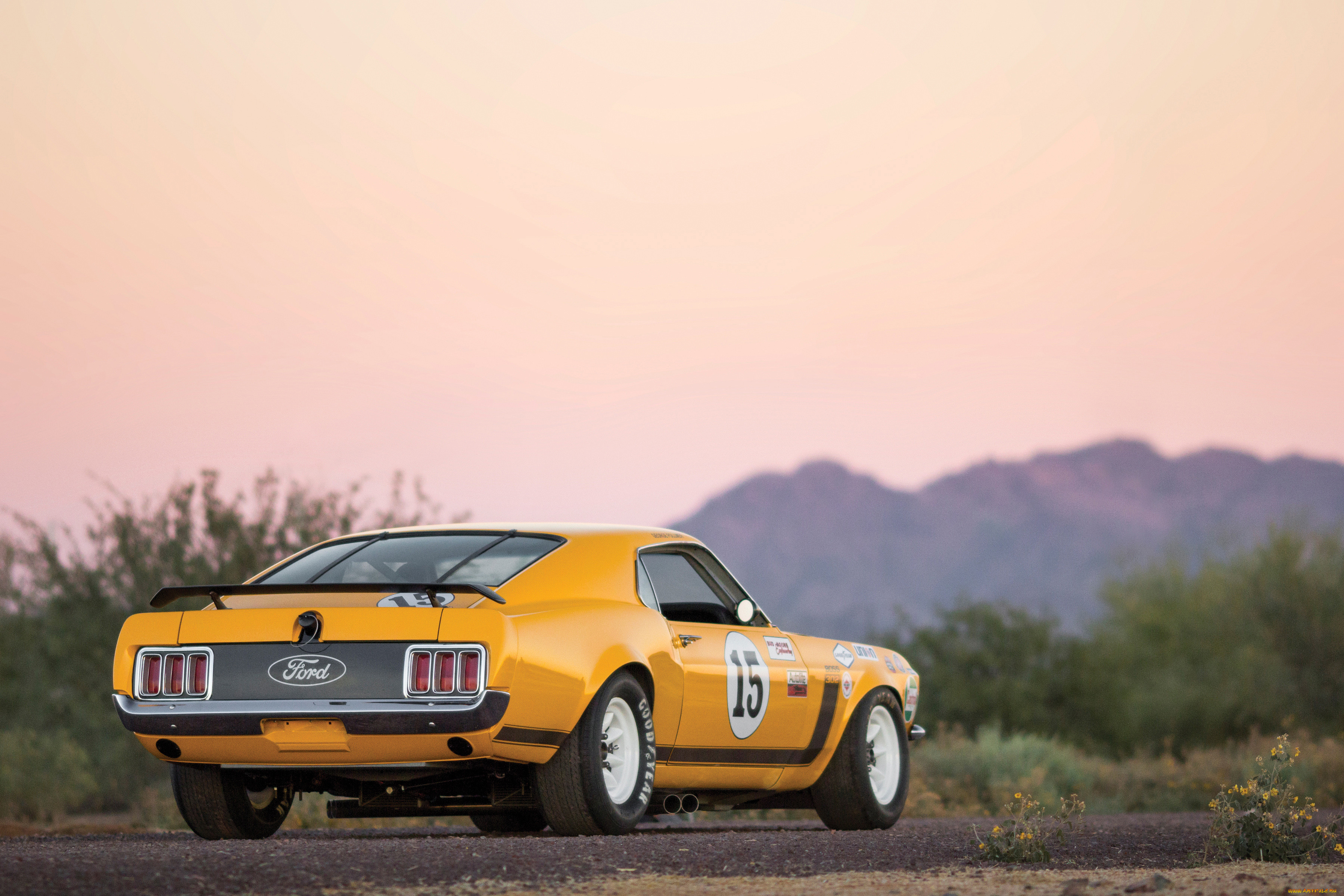 , mustang